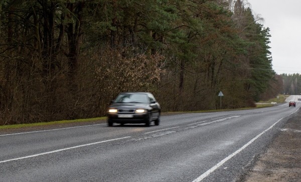 От испуга до «уголовки». Разбираемся, накажут ли водителя, если он сбил животное в зоне действия особого знака От испуга до «уголовки». Разбираемся, накажут ли водителя, если он сбил животное в зоне действия особого знака