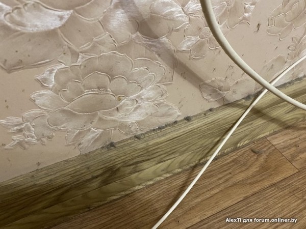 &laquo;А что вы хотели за 120 рублей?&raquo; Семья сняла квартиру на сутки в Минске и получила &laquo;гигиенический шок&raquo;