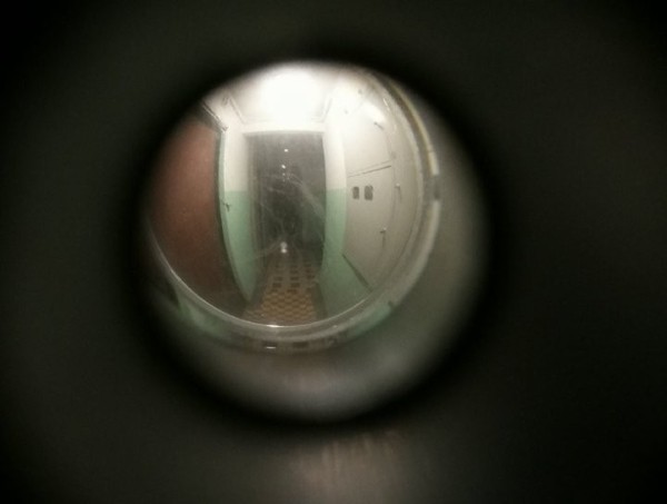 «Вписка» в Могилеве закончилась уголовным делом благодаря бдительным соседям «Вписка» в Могилеве закончилась уголовным делом благодаря бдительным соседям