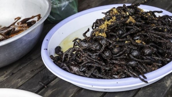 10 самых невкусных блюд в мире. А вы пробовали? 10 самых невкусных блюд в мире. А вы пробовали?