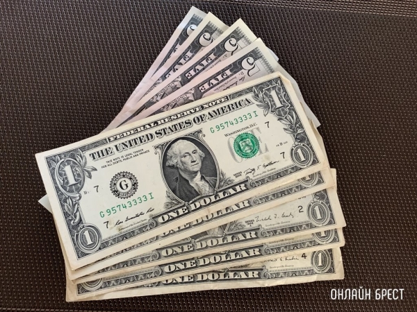 Гражданка Украины везла $78 тысяч через границу из Польши в Брест Гражданка Украины везла $78 тысяч через границу из Польши в Брест