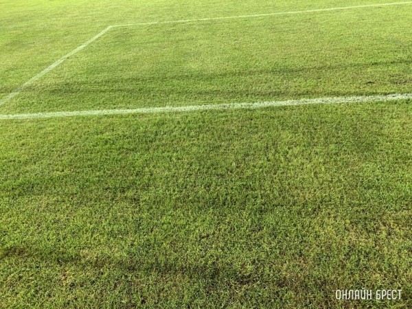 Прошла жеребьевка 1/8 финала Лиги Европы