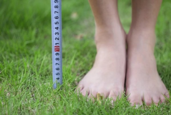 Почему утром человек на сантиметр выше, чем вечером Почему утром человек на сантиметр выше, чем вечером