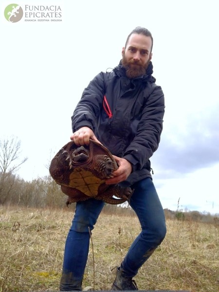 В Польше поймана огромная американская черепаха. Она прожила в природе несколько лет — значит, сможет и у нас