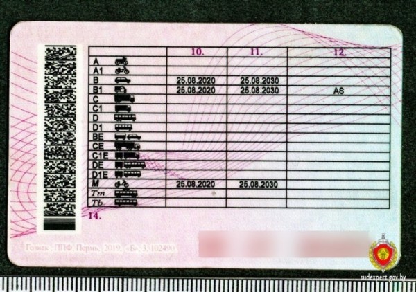 Работал в Москве и купил там права. Ещё один белорус попался с поддельным в/у Работал в Москве и купил там права. Ещё один белорус попался с поддельным в/у