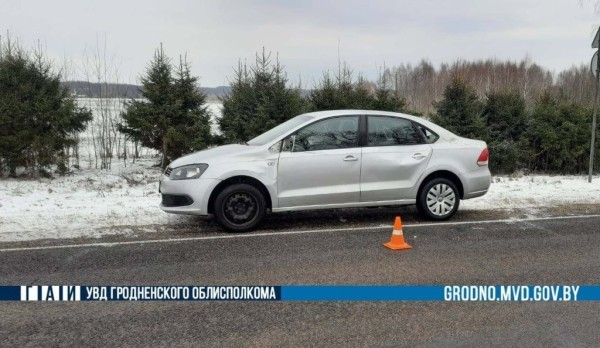 Лось бросился под колеса VW на трассе. Водитель из Бреста попал в ДТП Лось бросился под колеса VW на трассе. Водитель из Бреста попал в ДТП