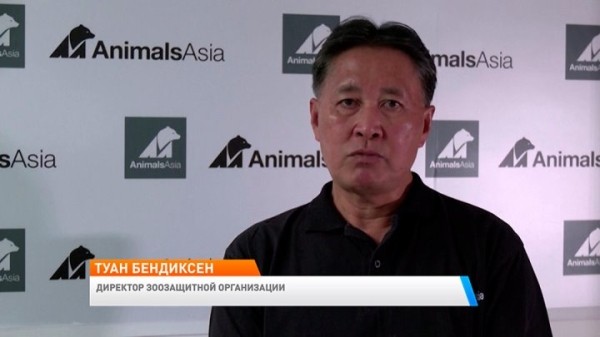 Над пятью медведями издевались 20 лет, чтобы добывать целебную желчь Над пятью медведями издевались 20 лет, чтобы добывать целебную желчь