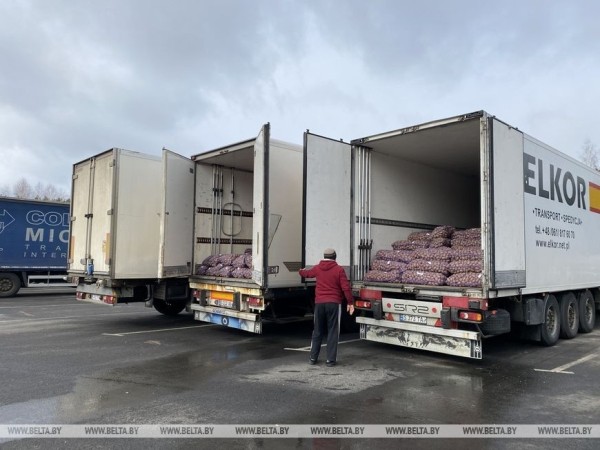 Водители из разных стран рассказали о проблемах на границе Водители из разных стран рассказали о проблемах на границе