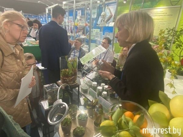 Выставка научно-технических достижений &laquo;Беларусь интеллектуальная. Регионы&raquo; открылась в Бресте