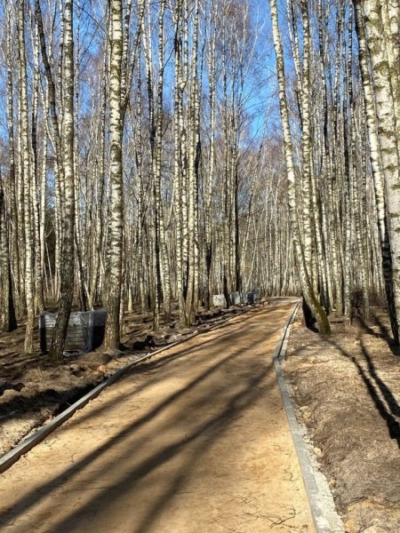 В одном из парков в Бресте установили скворечники, изготовленные школьниками города В одном из парков в Бресте установили скворечники, изготовленные школьниками города