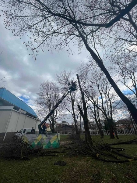Продолжаются интенсивные работы по подготовке городского Парка культуры и отдыха к началу сезона Продолжаются интенсивные работы по подготовке городского Парка культуры и отдыха к началу сезона