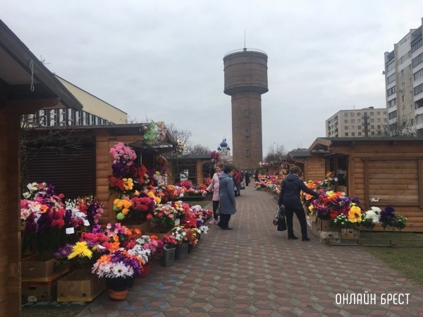 Экологи призывают отказаться от пластиковых цветов на Радуницу