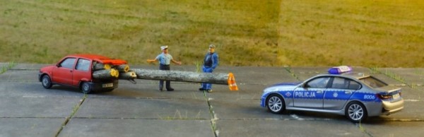 Поляки смеются над водителем Fiat, который превратил малютку в лесовоз и получает за это штрафы Поляки смеются над водителем Fiat, который превратил малютку в лесовоз и получает за это штрафы