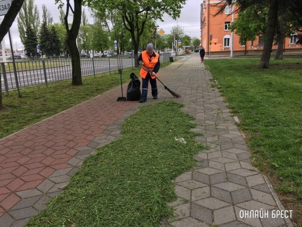 Сколько человек трудятся на благо экономики Беларуси, подсчитали в Белстате