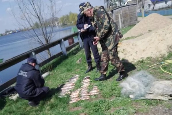 Рыбы на 291 базовую штрафов наловили белорусы Рыбы на 291 базовую штрафов наловили белорусы