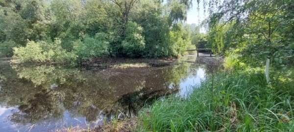 В Брестской области утонули два человека