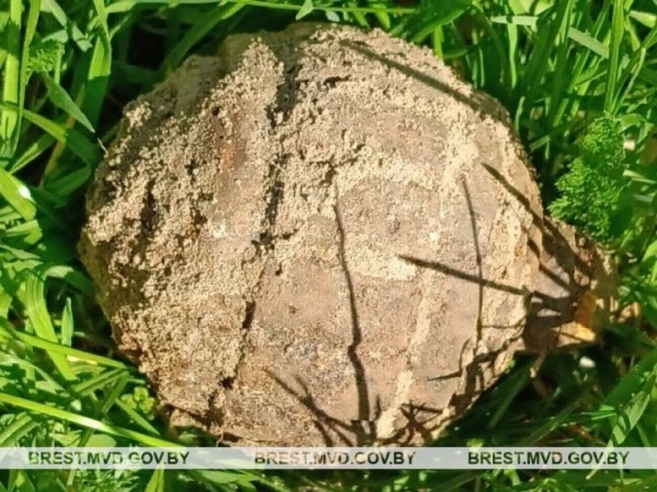 Опасная находка! В Каменецком районе обнаружена граната времен Первой мировой войны Опасная находка! В Каменецком районе обнаружена граната времен Первой мировой войны