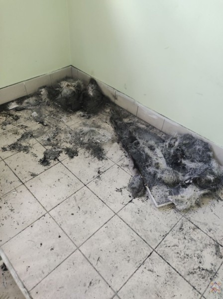 Акриловая ванна загорелась между этажами многоэтажки в Бобруйске Акриловая ванна загорелась между этажами многоэтажки в Бобруйске