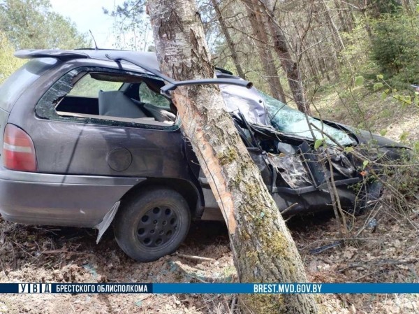 18-летний водитель врезался в дерево в Ивацевичском районе