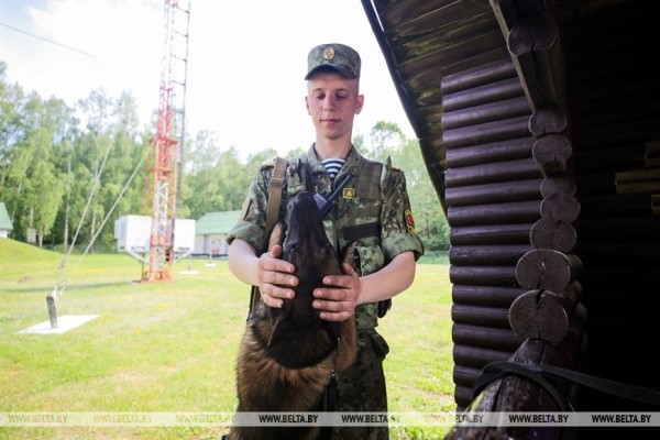 Пограничная Афиша и особенности службы на заставе в Беловежской пуще Пограничная Афиша и особенности службы на заставе в Беловежской пуще