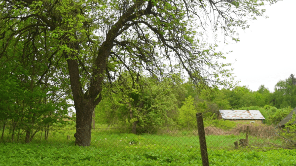 «Первое время спала в обнимку с кочергой». Белоруска сберегла столетний семейный дом — и не жалеет «Первое время спала в обнимку с кочергой». Белоруска сберегла столетний семейный дом — и не жалеет