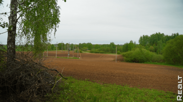«Первое время спала в обнимку с кочергой». Белоруска сберегла столетний семейный дом — и не жалеет «Первое время спала в обнимку с кочергой». Белоруска сберегла столетний семейный дом — и не жалеет