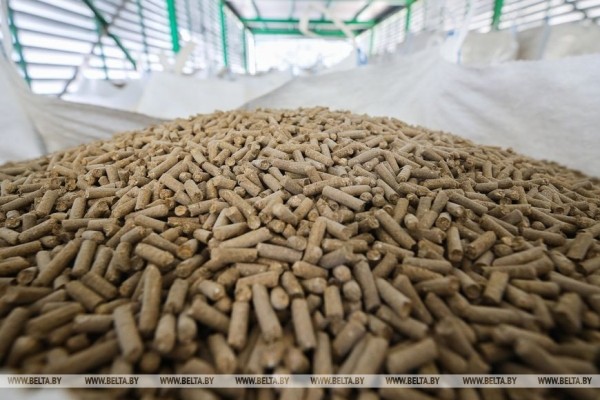 Брестская область. На «Белсолоде» запустили новую установку за 1,5 млн рублей