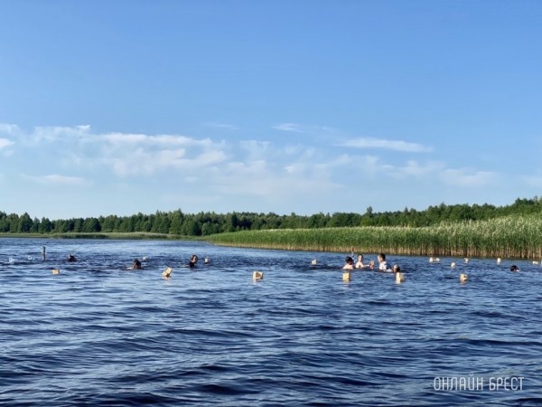 Об ограничении и запрете купания детей и взрослых в водоемах Брестского района Об ограничении и запрете купания детей и взрослых в водоемах Брестского района