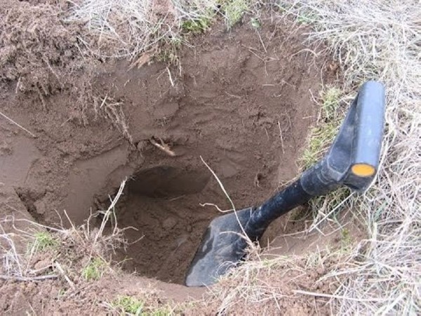 Осудили черного копателя в Барановичах Осудили черного копателя в Барановичах