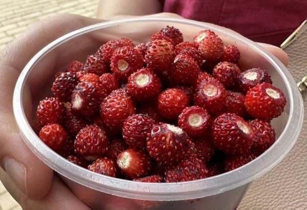 Если стакан земляники стоит 15 рублей, то сколько выйдет за килограмм? Посчитали Если стакан земляники стоит 15 рублей, то сколько выйдет за килограмм? Посчитали