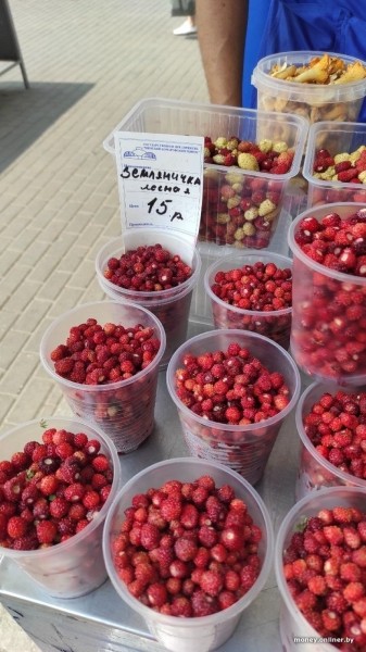 Если стакан земляники стоит 15 рублей, то сколько выйдет за килограмм? Посчитали Если стакан земляники стоит 15 рублей, то сколько выйдет за килограмм? Посчитали