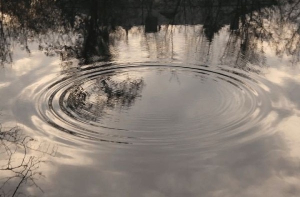 Трагедия в Лидском районе: утонул трехлетний ребенок Трагедия в Лидском районе: утонул трехлетний ребенок