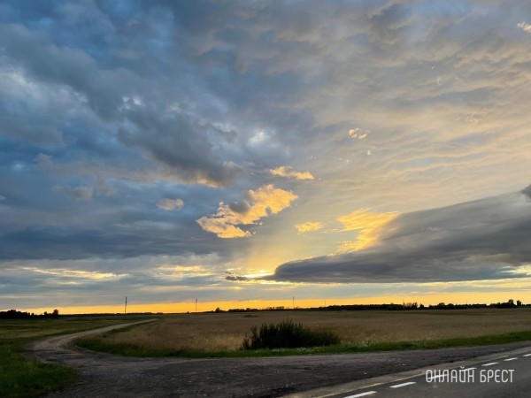 В Бресте и области на завтра объявлен оранжевый уровень: жара, грозы В Бресте и области на завтра объявлен оранжевый уровень: жара, грозы