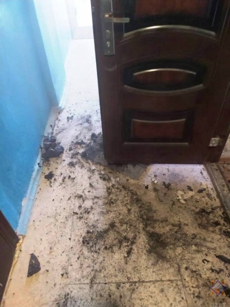 На пожаре в Бресте спасли четверых человек На пожаре в Бресте спасли четверых человек