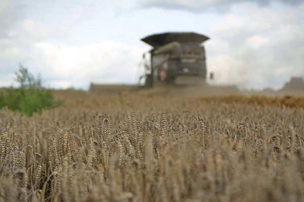 Водитель самого крутого комбайна в Беларуси: «За 1 000 рублей в поле точно бы не работал!» Водитель самого крутого комбайна в Беларуси: «За 1 000 рублей в поле точно бы не работал!»