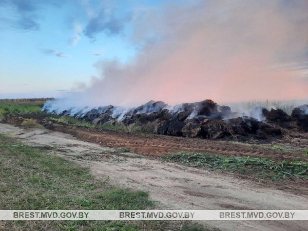 В Барановичском районе поджигатель пойман с поличным В Барановичском районе поджигатель пойман с поличным