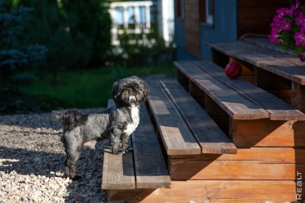 Минчане продали двушку — денег хватило на новый дом с отделкой. Смотрим, что у них получилось Минчане продали двушку — денег хватило на новый дом с отделкой. Смотрим, что у них получилось