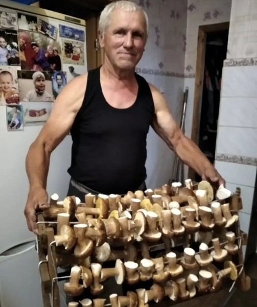 «Лисичек сдавали на 800 рублей, черники – на 1000, корзин продали на 3 тысячи». Как семья подрабатывает на дарах природы «Лисичек сдавали на 800 рублей, черники – на 1000, корзин продали на 3 тысячи». Как семья подрабатывает на дарах природы