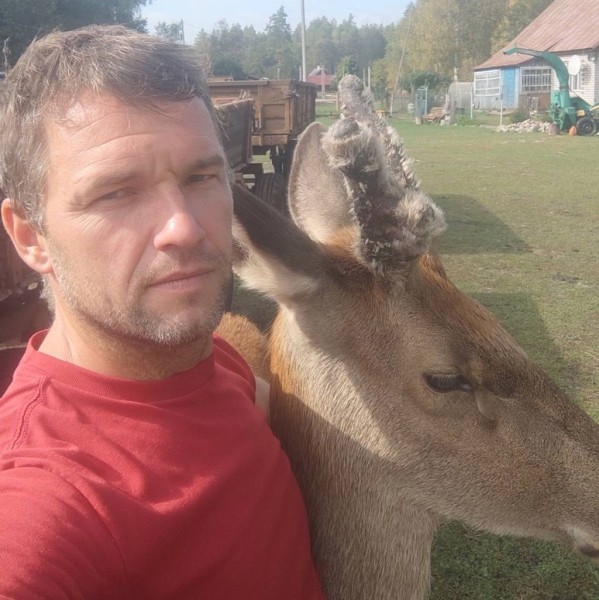 В Беларуси олень напугал женщину в лесу и собрал более 1,5 млн просмотров в TikTok. Поговорили с его хозяином