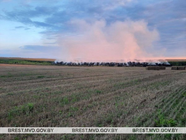 В Барановичском районе поджигатель пойман с поличным В Барановичском районе поджигатель пойман с поличным