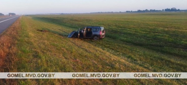 Встреча с лосем закончилась кюветом и реанимацией. А как нужно было поступать? Встреча с лосем закончилась кюветом и реанимацией. А как нужно было поступать?