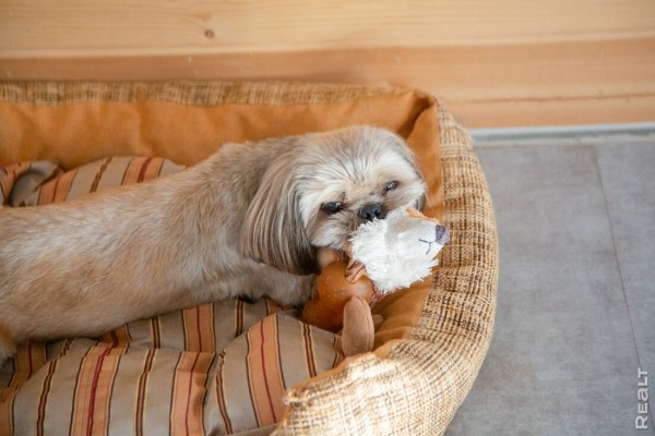 Минчане продали двушку — денег хватило на новый дом с отделкой. Смотрим, что у них получилось Минчане продали двушку — денег хватило на новый дом с отделкой. Смотрим, что у них получилось