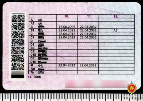 Белорус решил проблему изъятых прав необычным способом. Но «спалился» Белорус решил проблему изъятых прав необычным способом. Но «спалился»