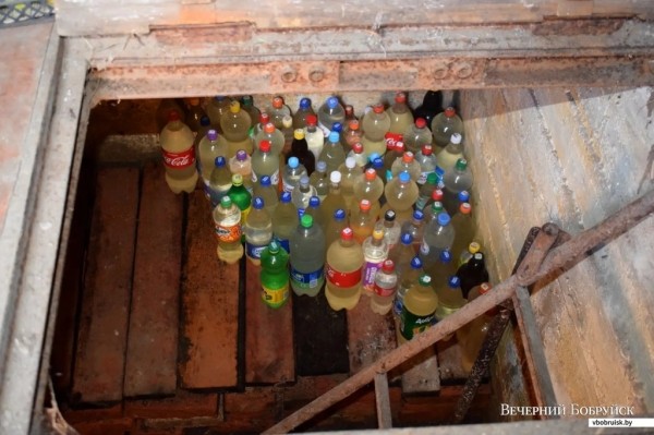 «Лисичек сдавали на 800 рублей, черники – на 1000, корзин продали на 3 тысячи». Как семья подрабатывает на дарах природы «Лисичек сдавали на 800 рублей, черники – на 1000, корзин продали на 3 тысячи». Как семья подрабатывает на дарах природы