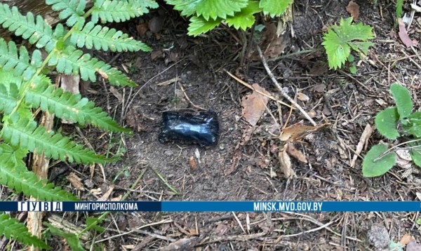 Поход за «дарами леса» закончился для молодого белоруса арестом Поход за «дарами леса» закончился для молодого белоруса арестом