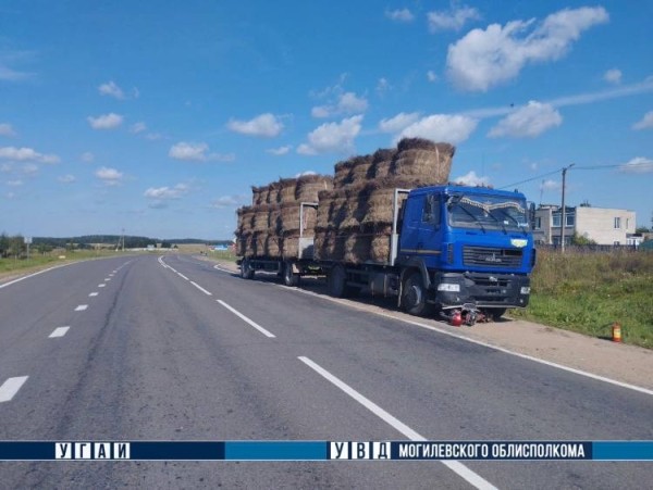 В Могилевской области грузовик насмерть сбил водителя мопеда