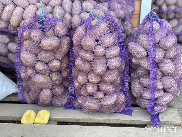 Более 100 сельскохозяйственных ярмарок планируют провести осенью в Брестской области