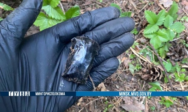 Поход за «дарами леса» закончился для молодого белоруса арестом Поход за «дарами леса» закончился для молодого белоруса арестом