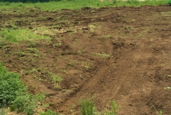 В Бресте участок для застройки по ул. Пастернацкого выкупили за рекордную сумму