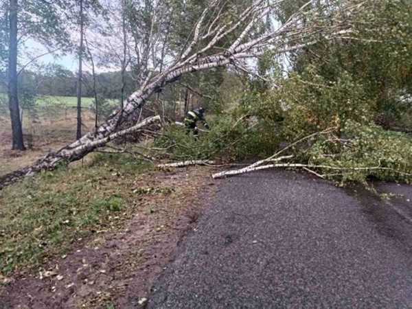 В Брестской области сильный ветер валил деревья и пролеты железобетонных заборов. Сколько автомобилей пострадало? В Брестской области сильный ветер валил деревья и пролеты железобетонных заборов. Сколько автомобилей пострадало?
